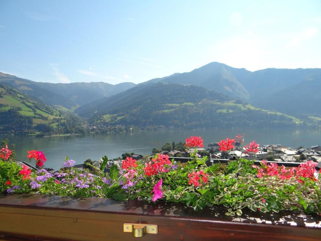 Appartement Haus Sonnenheim Zell am See Exteriör bild